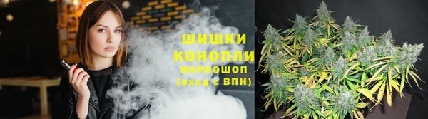 дживик Семикаракорск